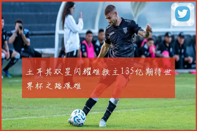 土耳其双星闪耀难救主135亿期待世界杯之路艰难